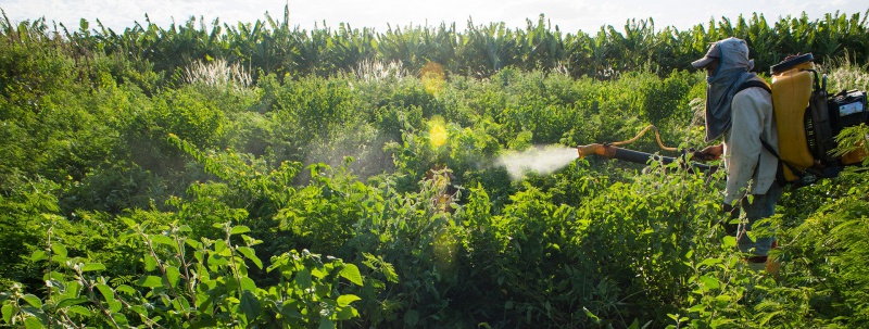 pesticide spray