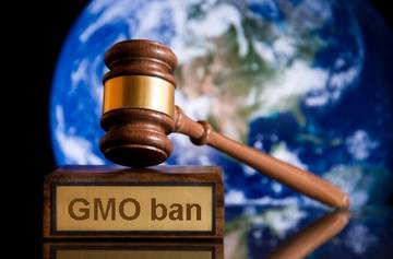 GMO Ban